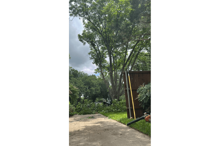 Titan Tree Service